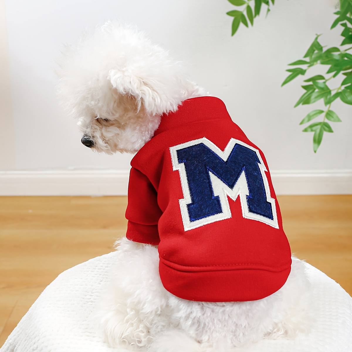 Patriots dog jersey