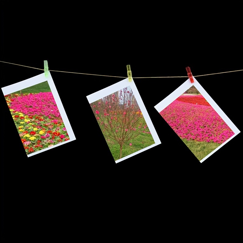 Mini Photo Clips Transparent Spring Plastic Hanging Clip - Temu
