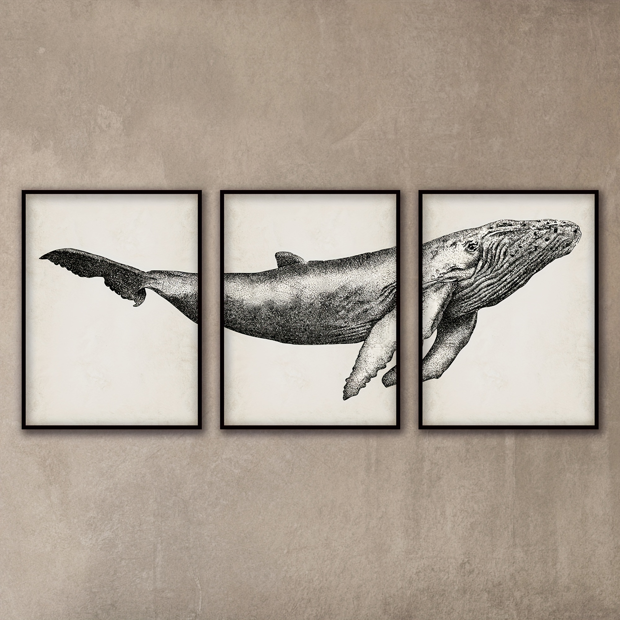Poster Wall - Whale Humpback Temu Bathroom Art Art wall Art Wall