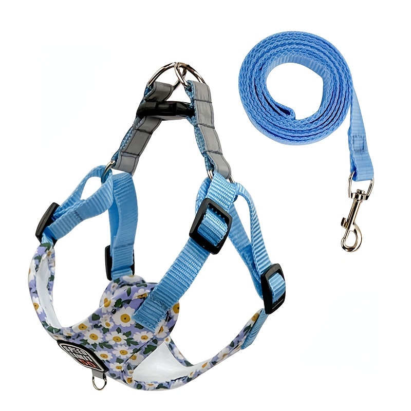 Dog body 2024 harness leash