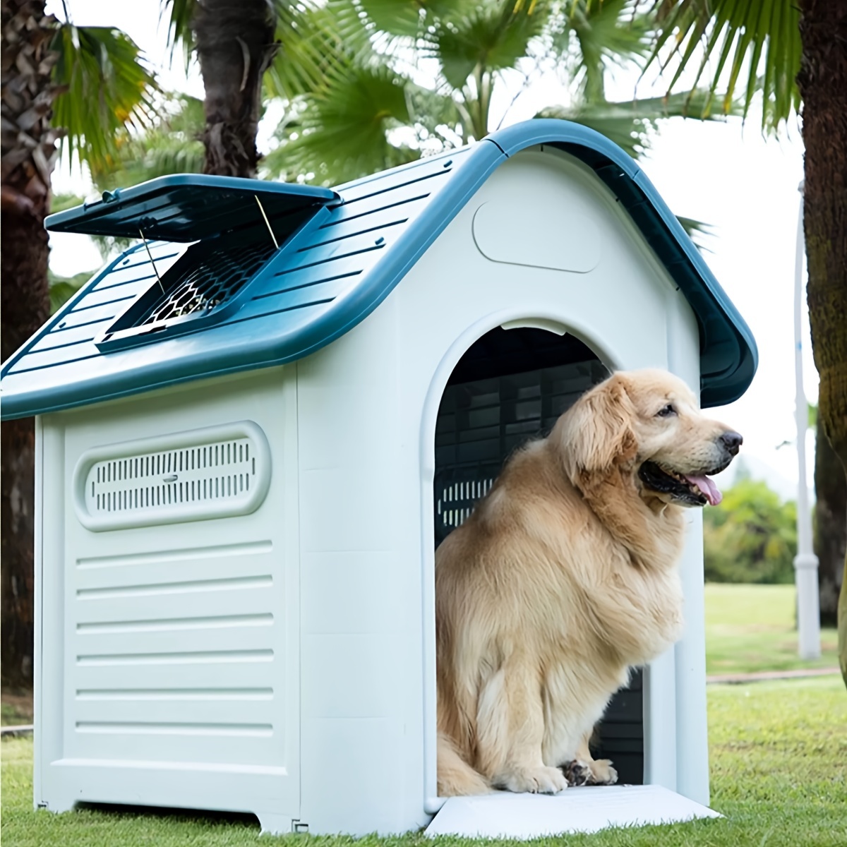 Dog kennel for 2 hotsell large dogs