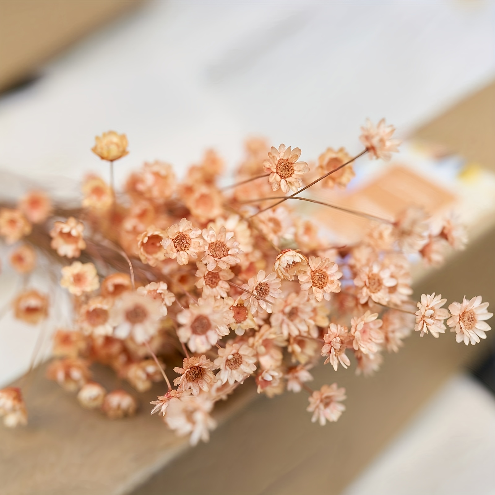 200 tallos naturales de flores secas brasileñas pequeñas margaritas  decorativas de margaritas secas, mini ramo de margaritas de manzanilla para  bodas