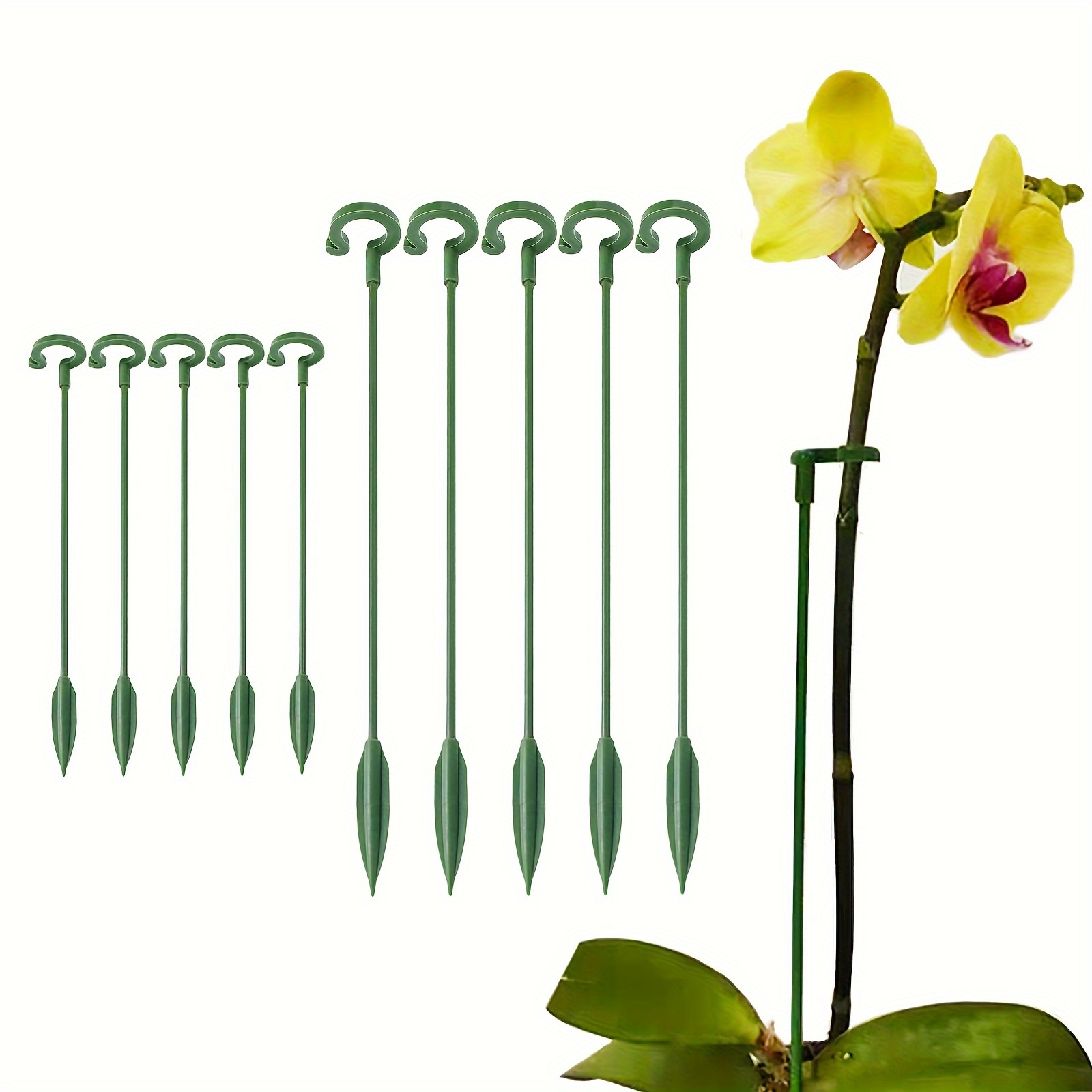 

5pcs, Plant Support Stakes, Plastic Plant Cage Garden Plant Stakes Plant Sticks Plant Support Ring, Plant Stakes For Indoor Plants Orchid Amaryllis Vegetables