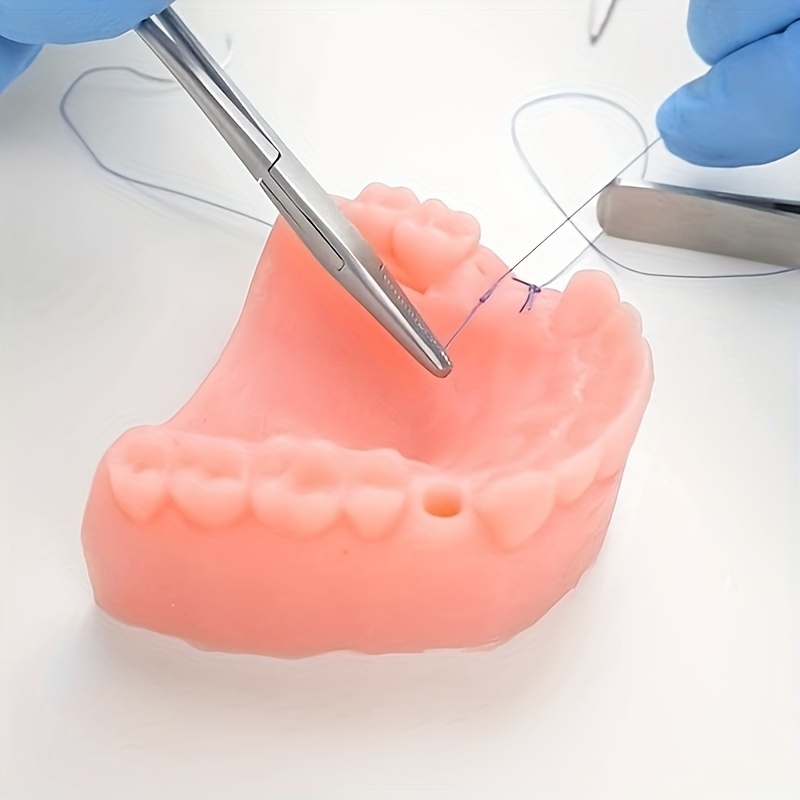 Dental Suture Practice Model Base Teeth Module Dental, 47% OFF