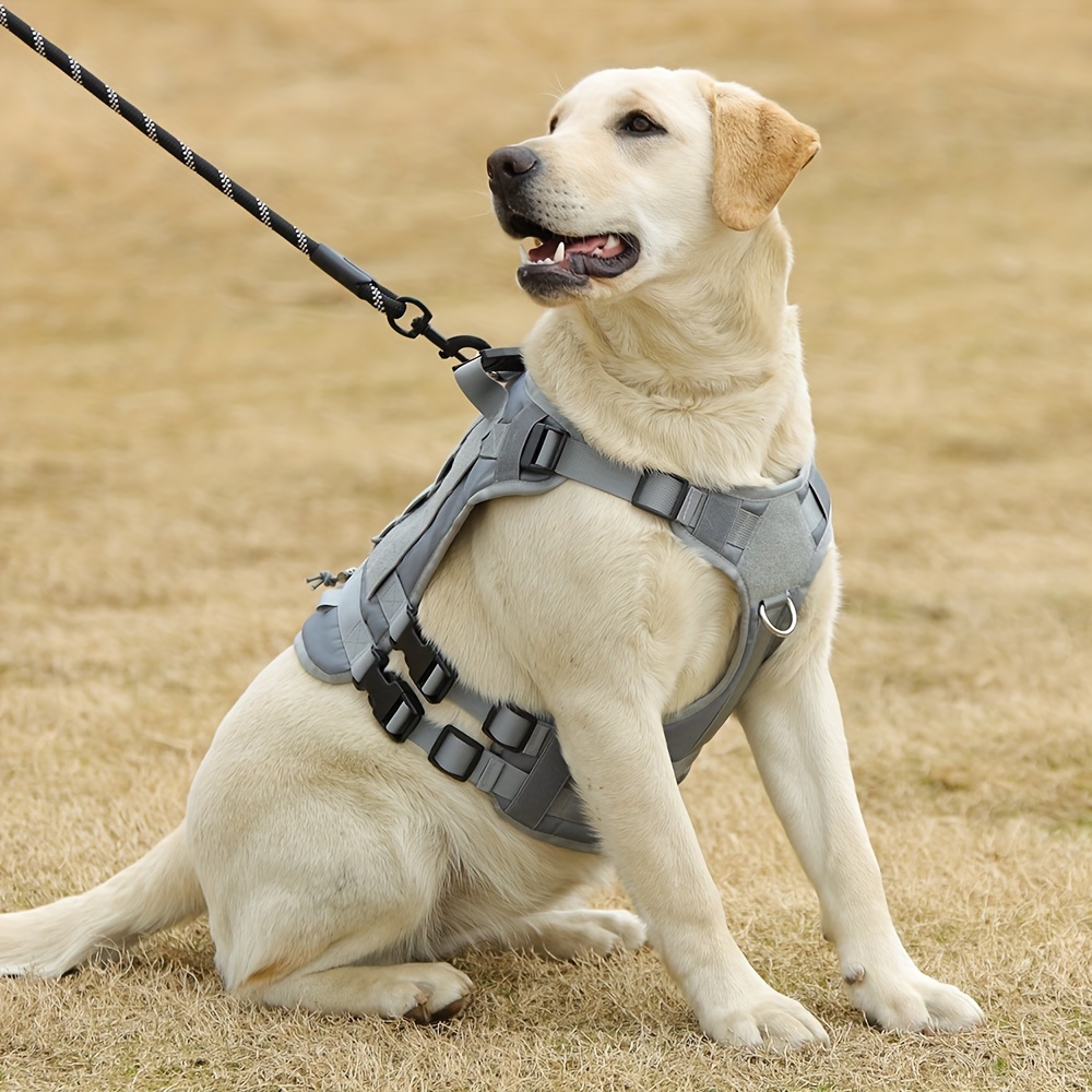 Achetez en gros Chien Harnais Chien Gilet Pour Grand Moyen Petit Réglable  Sans Traction Harnais Pour Animaux De Compagnie Pour La Formation De La  Chasse Marche #9 Chine et Harnais De Gilet