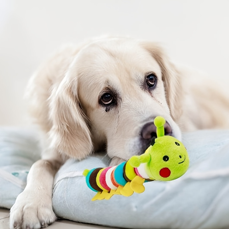 Dog caterpillar clearance toy