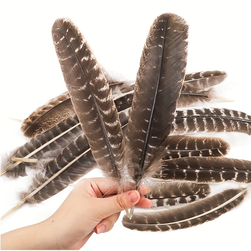 30Pcs Natural Turkey Feathers, 5.3-7 Inch Craft Feathers Pheasant for Hats,  3 Style Mixed Natural Feathers for Carnival Costume Feather Mask Wedding