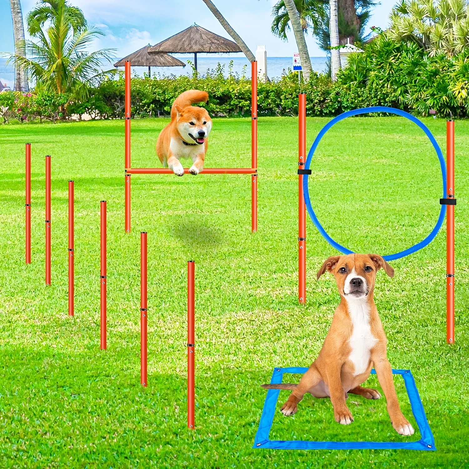 pet agility tunnel dog outdoor games