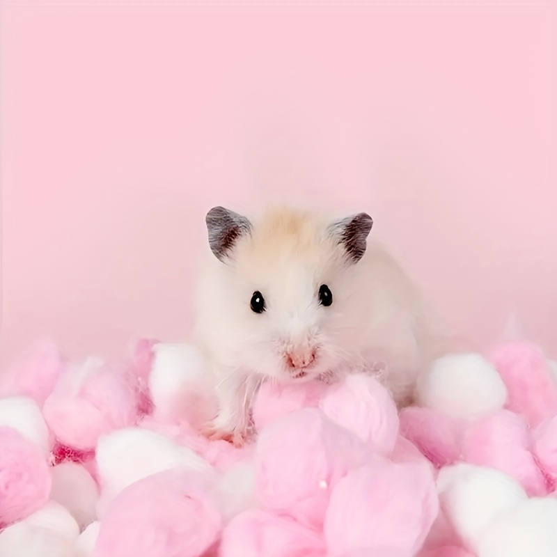 100pcs Colored Hamster Cotton Balls, Hamster Small Pet Warm Winter  Supplies, Chinchilla Small Animal Bedding Accessories