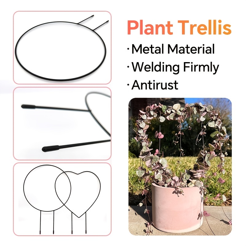 Support Plante Grimpante Metal