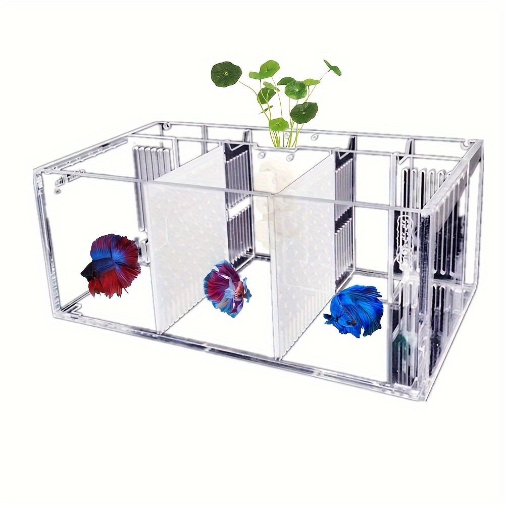 Acrylic Divider Plate for 6 Gallon Bookshelf Aquariums - CLEAR