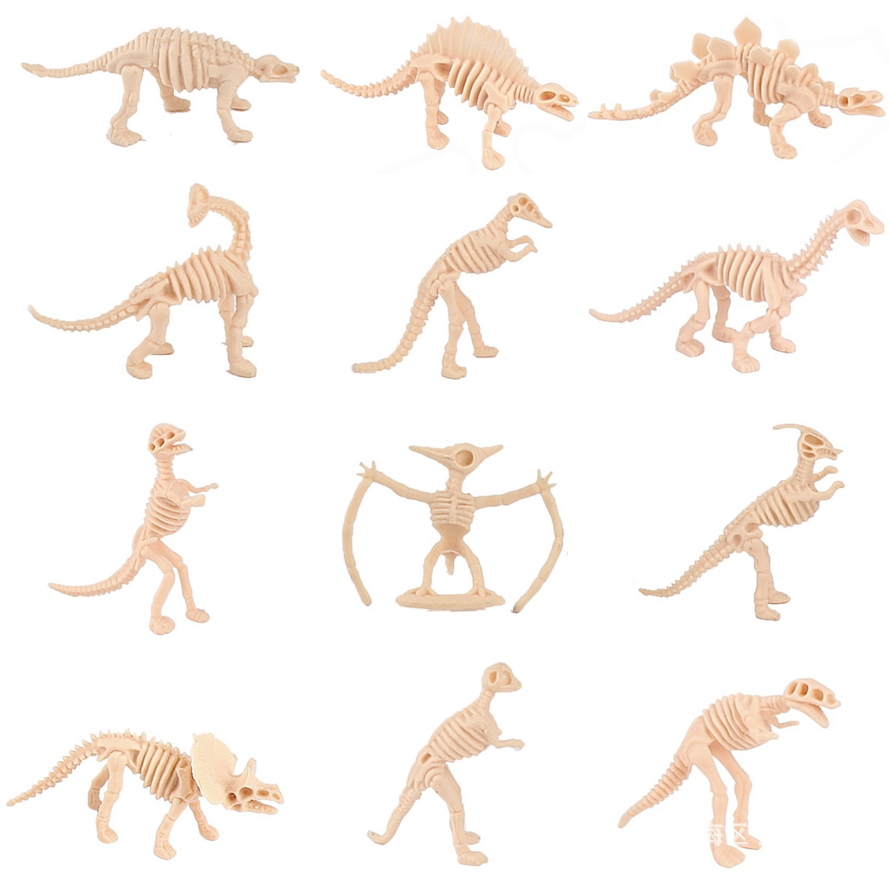 Set Of 12 Dinosaur Skeletons