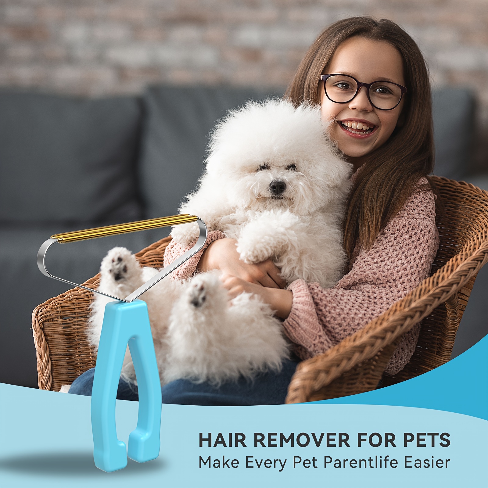 Pet Hair Remover - Temu