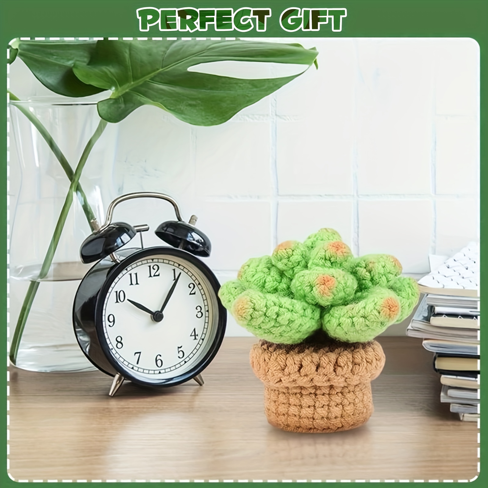 Cactus Plant Crochet Starter Kit, Green Crochet Kit for Beginners, Adults  Kids