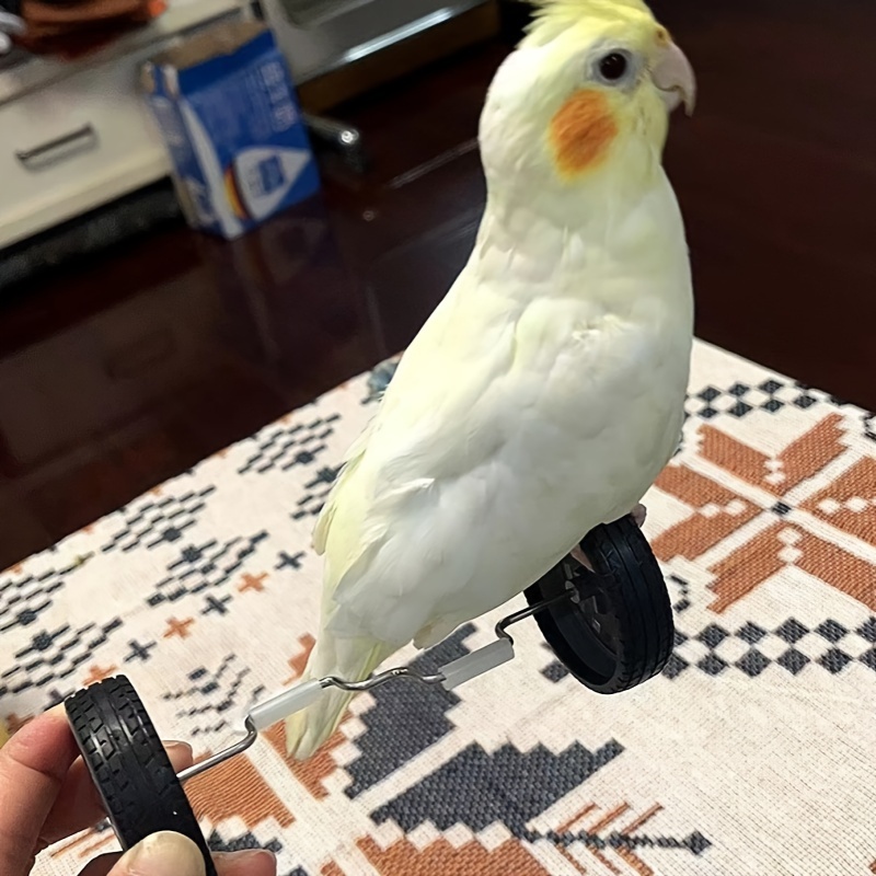 Bird outlet balance bike