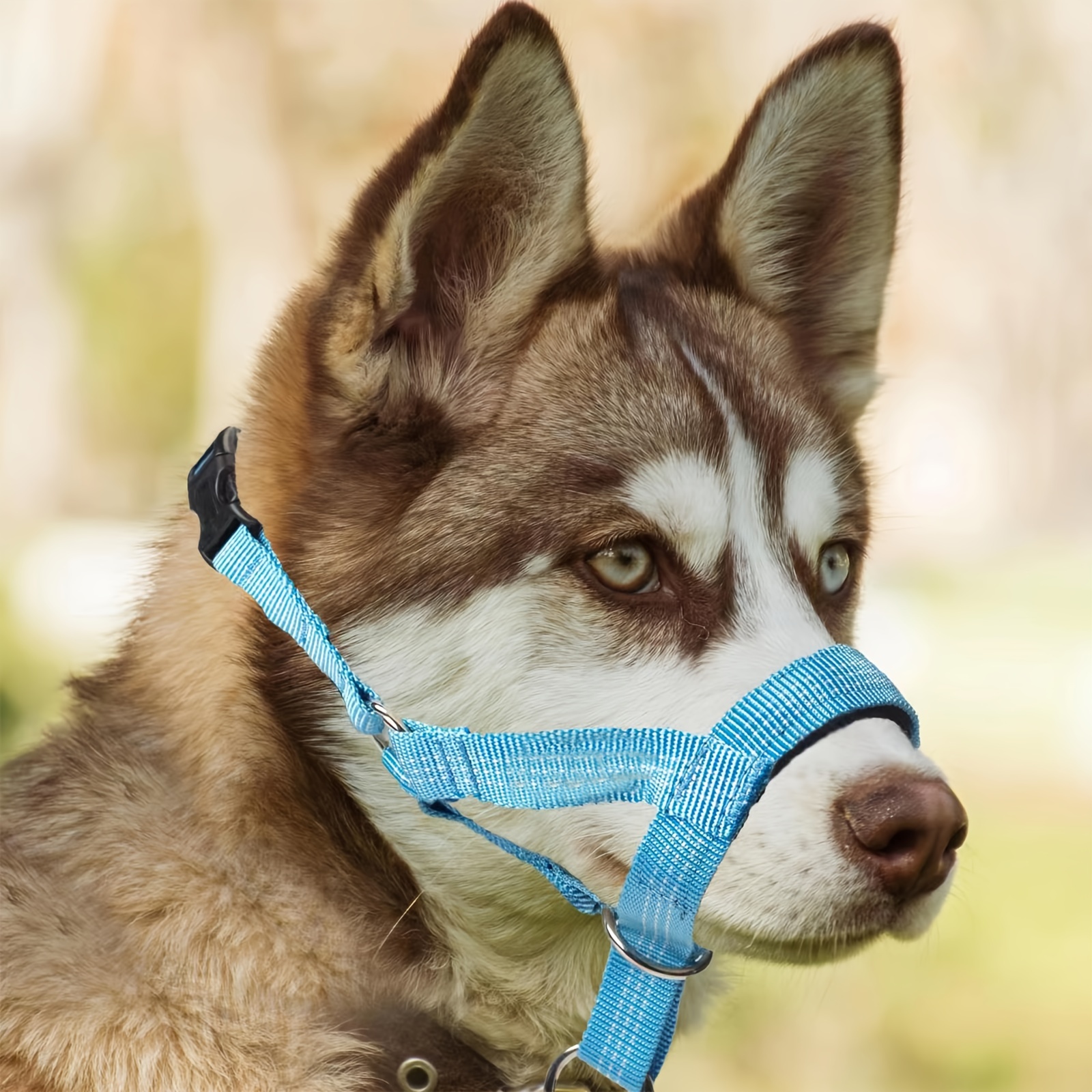 Head halter for barking sales dogs