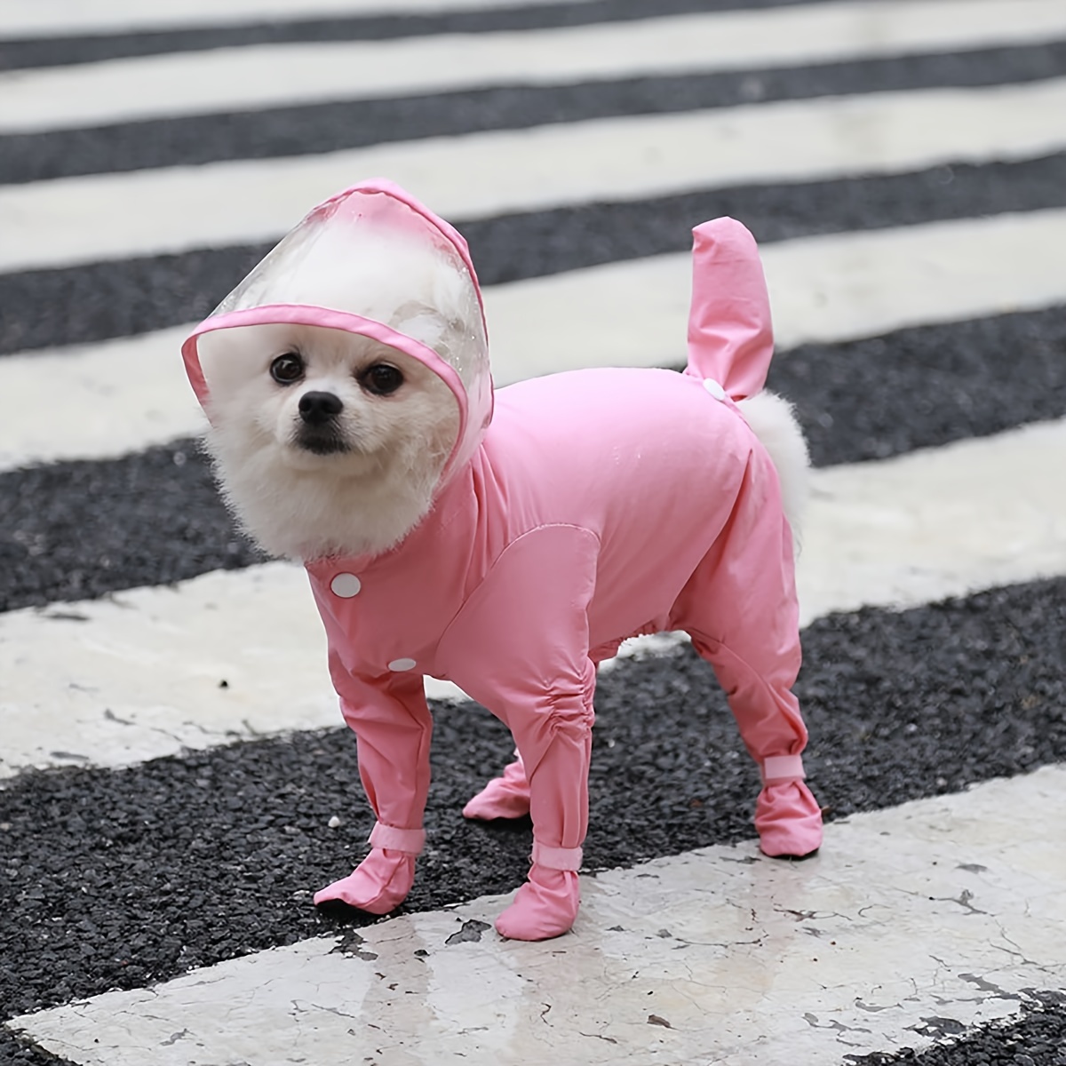 small dog raincoat and boots