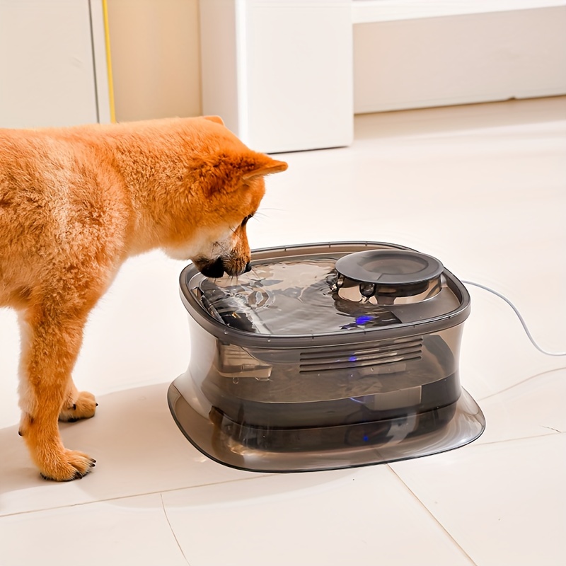 Automatic Pet Water Fountain Silent Water Temu United