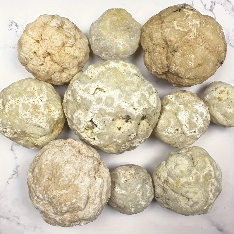 XX TOYS Rocks Collection – 15 collections de roches naturelles pour enfants  – Kit de gemmes de géologie cool avec feuille d'identification – Boîte de pierres  précieuses de qualité supérieure avec 