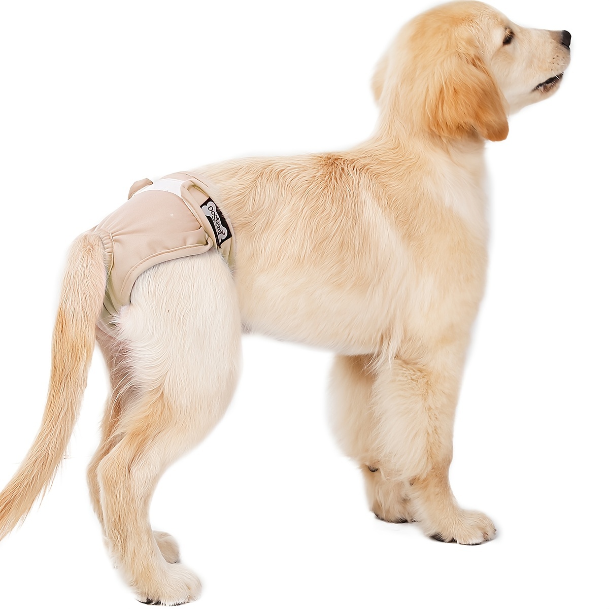 Pañales de perro macho Pañal de suministro lavable Duradero Para perros  Pantalón fisiológico sanitario sanitario
