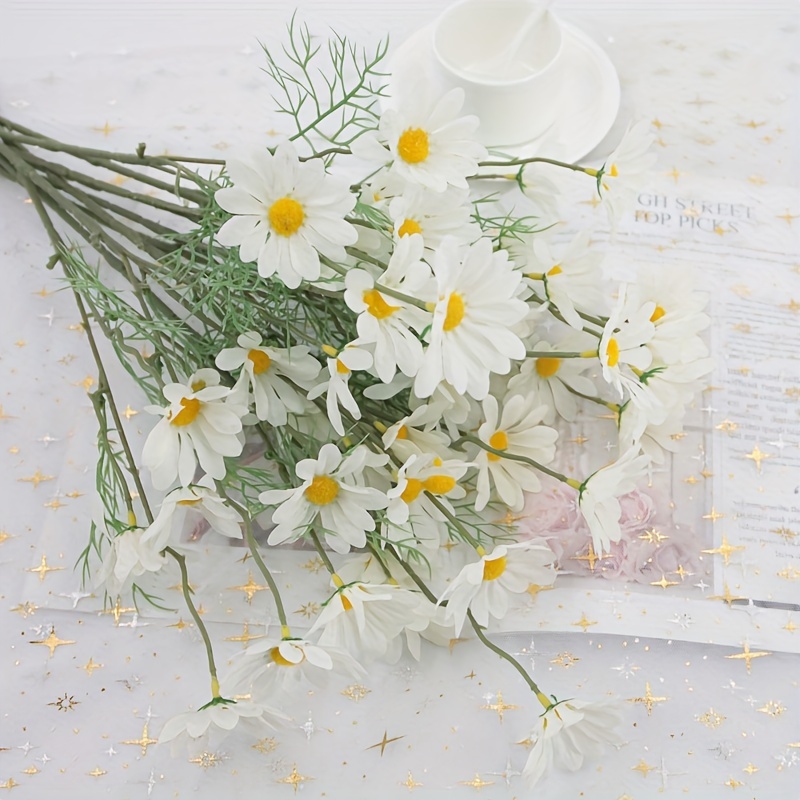 Real Dried Daisy White Flowers Natural Chrysanthemum Daisies - Temu