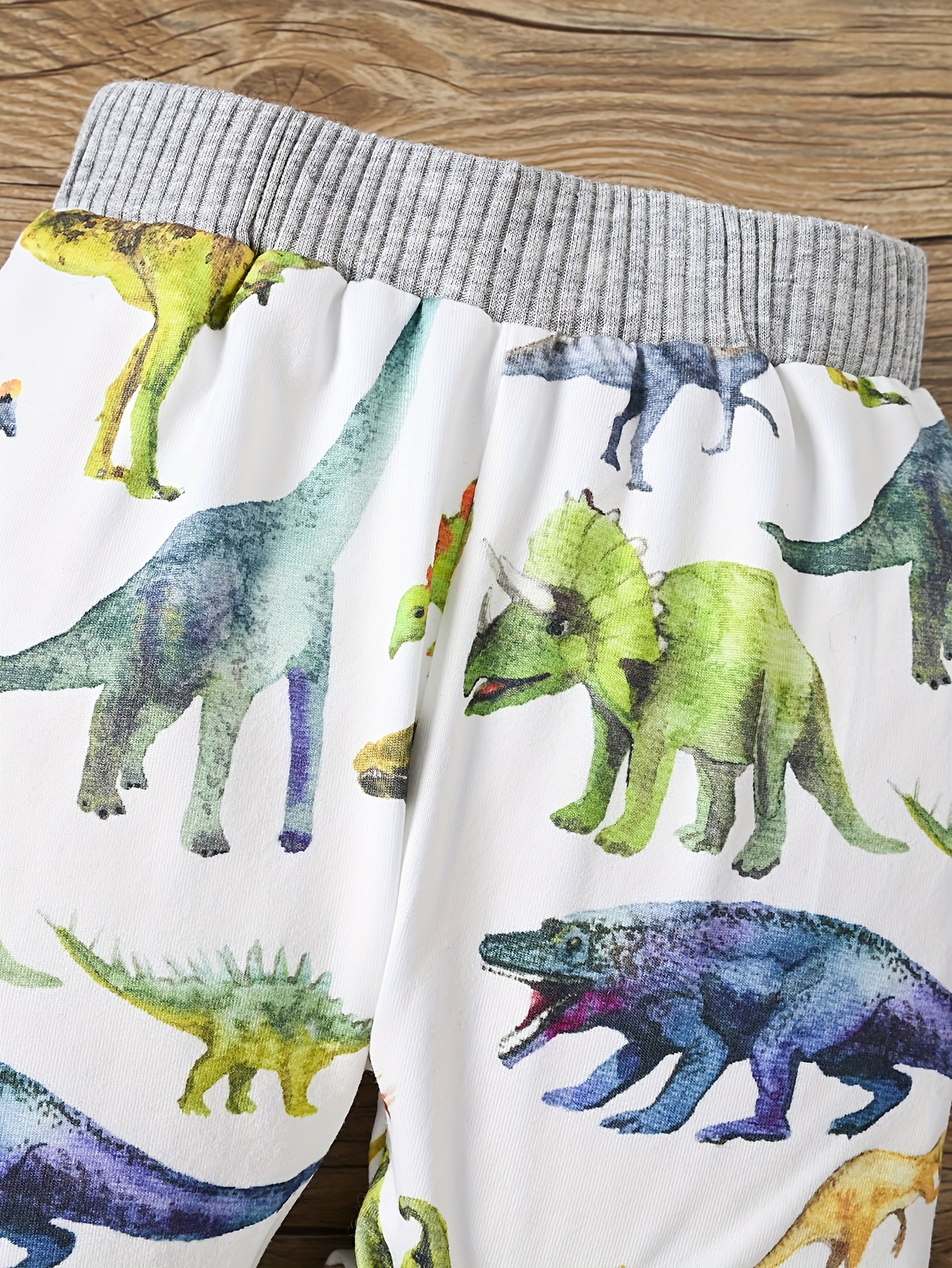 Boys sales dinosaur trousers