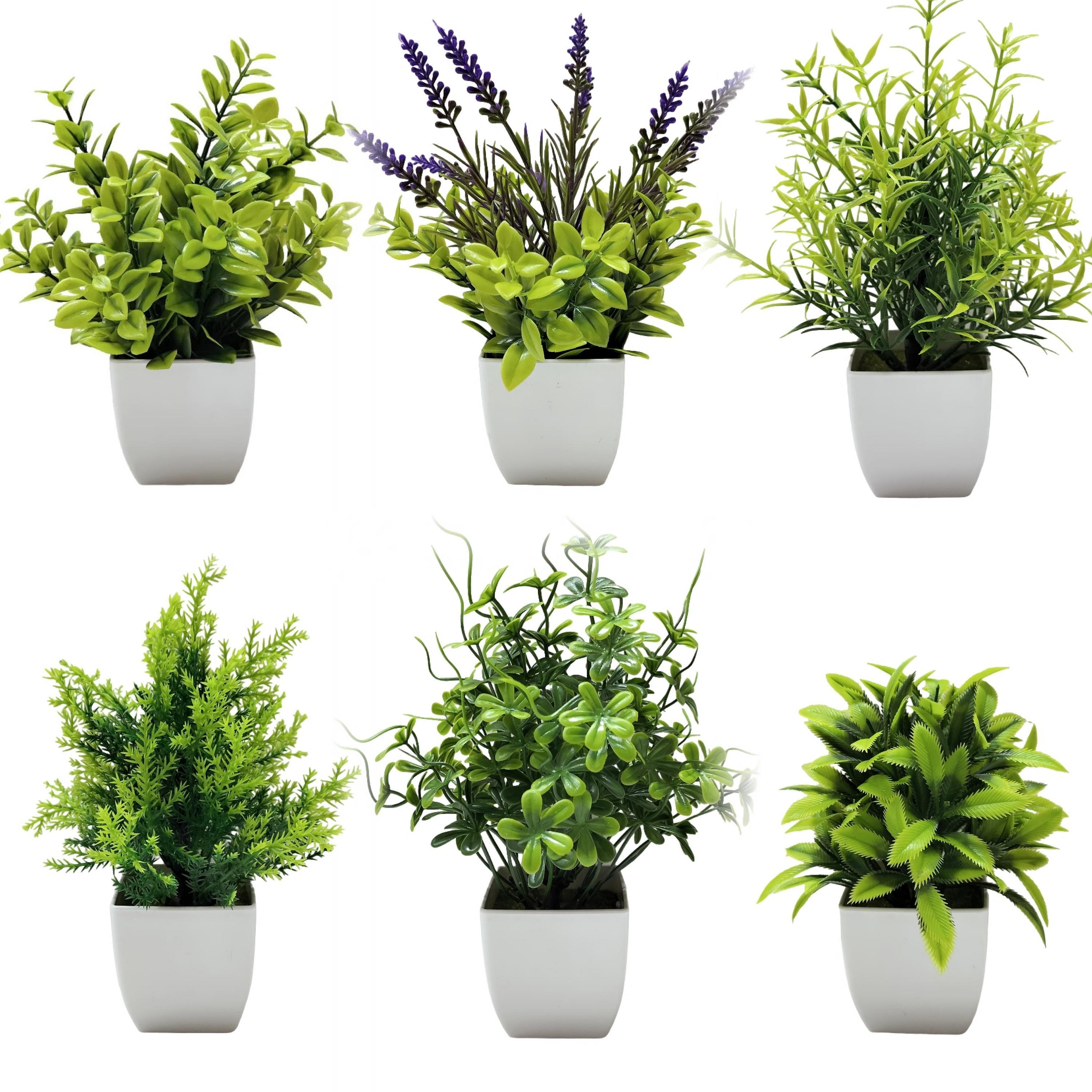 Plantas artificiales de interior en macetas, plantas artificiales al aire  libre, mini plantas suculentas verdes en cerámica negra estética para baño