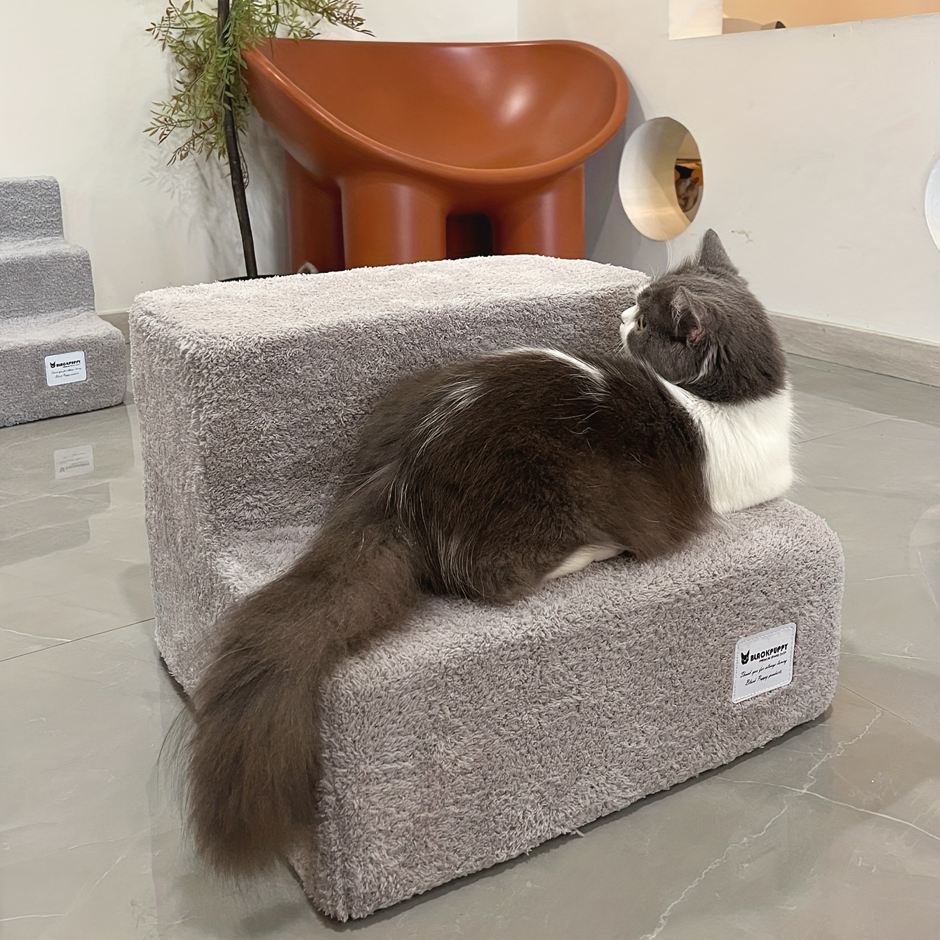 HEVOL Scala per Cani 2 Gradini, Scala Cani con Rivestimento Lavabile,  Scaletta per Gatti per Divano Letto, 40,6 x 30,5 x 40,6 cm-1 Rotolo Di  Pelucchi : : Prodotti per animali domestici