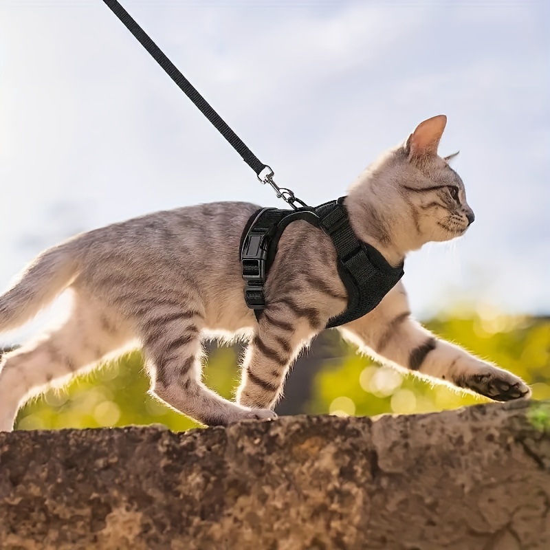 Dooradar - Juego de correa y arnés para gatos