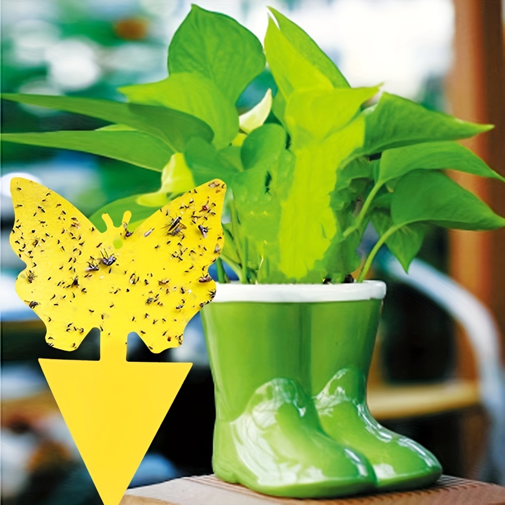 Fly Stick Sticky Fly Traps For Indoors And Outdoor Non toxic - Temu