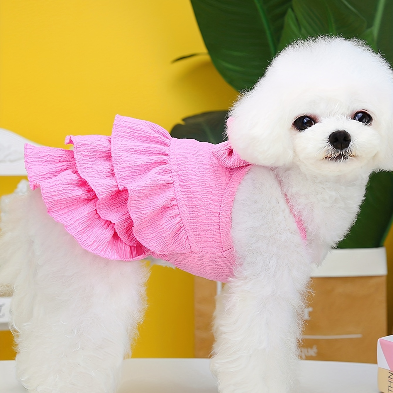 Robe D t Chien Robe Kawaii Chien N ud Papillon V tements