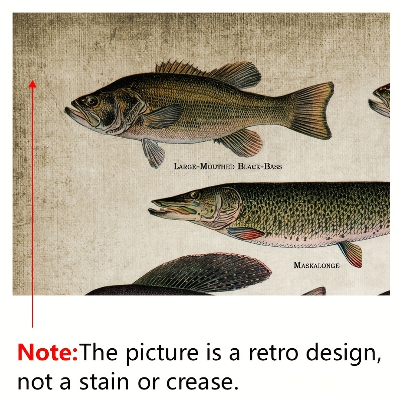 Canvas Poster Fishing Angling Breeds Fish Freshwater Fish - Temu Canada