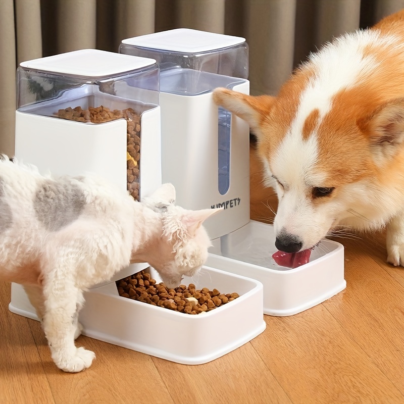 Automatic Pet Feeder Water Dispenser: Keep Your Dog Or Cat - Temu