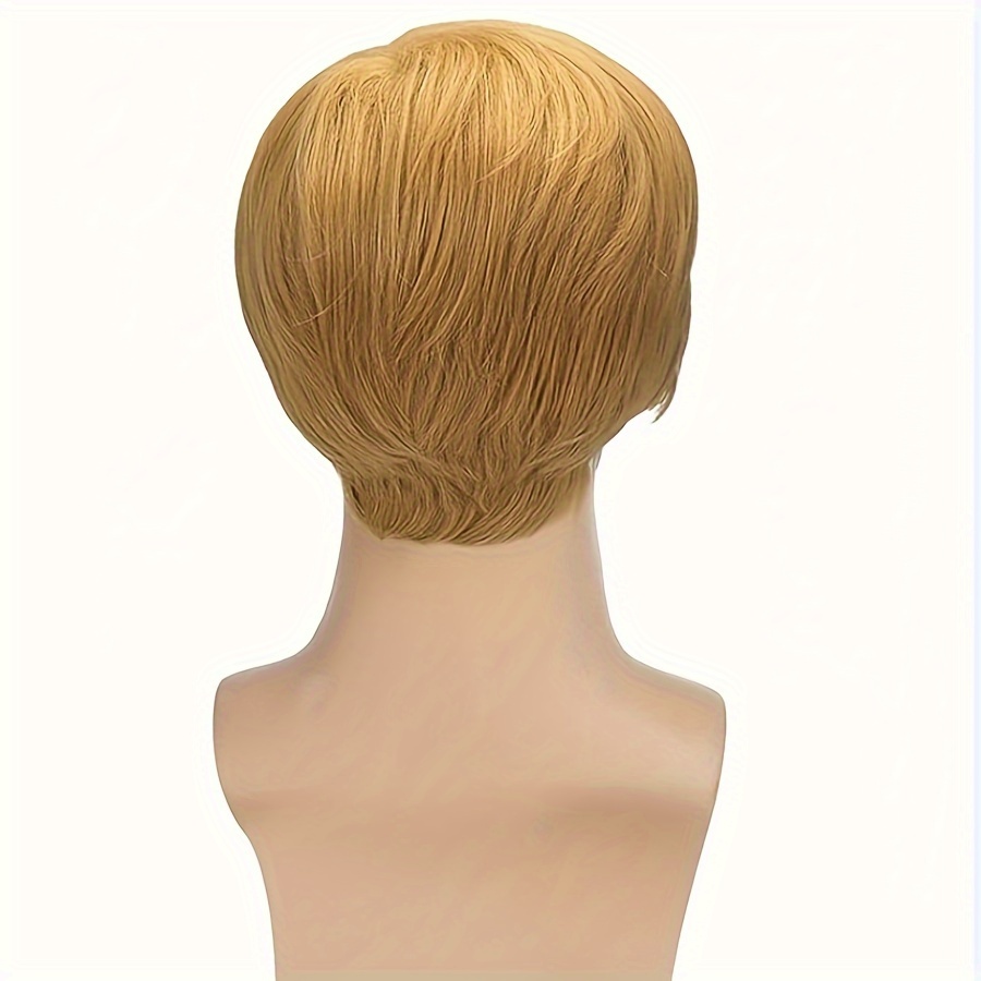 Party shop supplies wigs