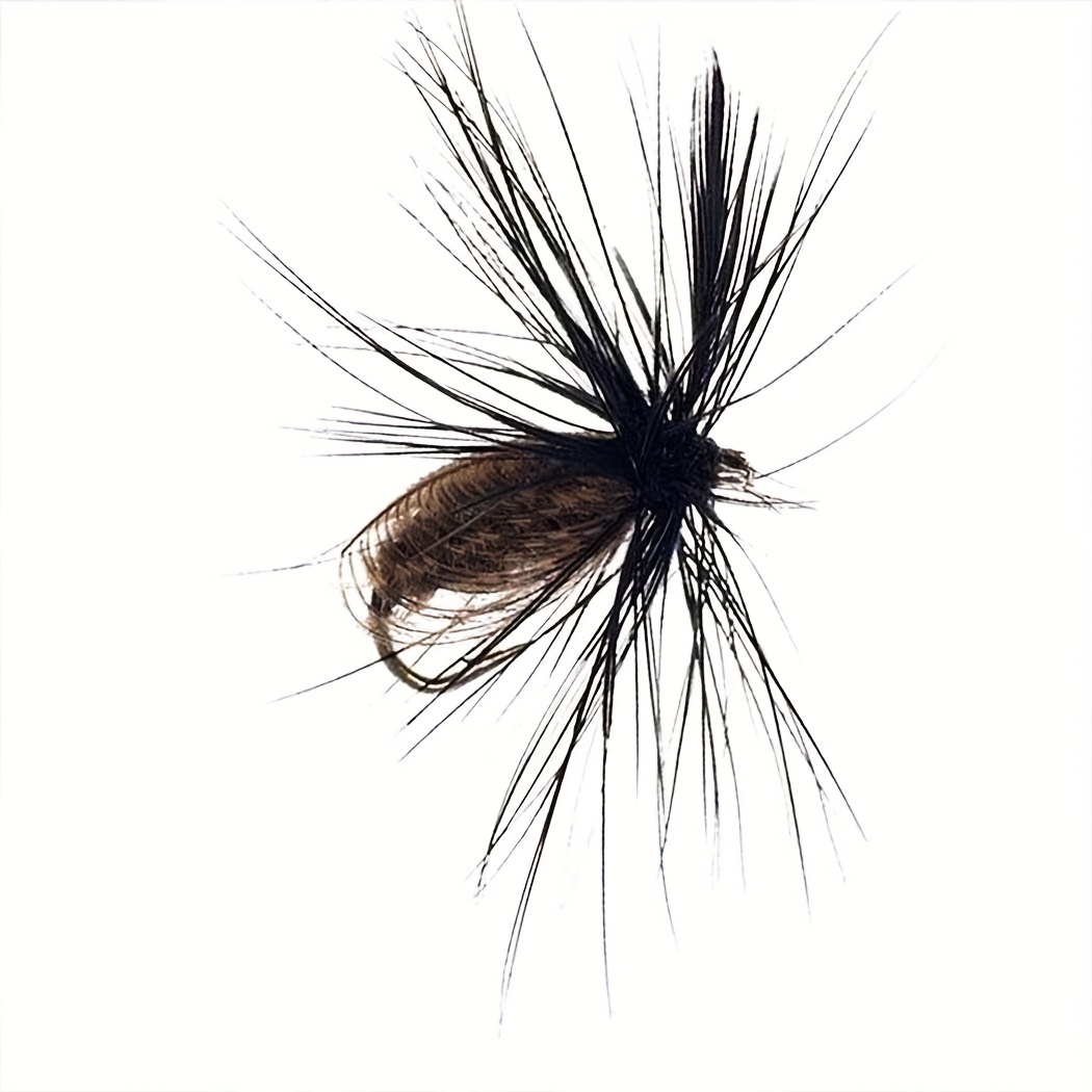 Peacock Feather Wings Dry/Wet * for Carp/Trout Fishing - Outdoor Tackle