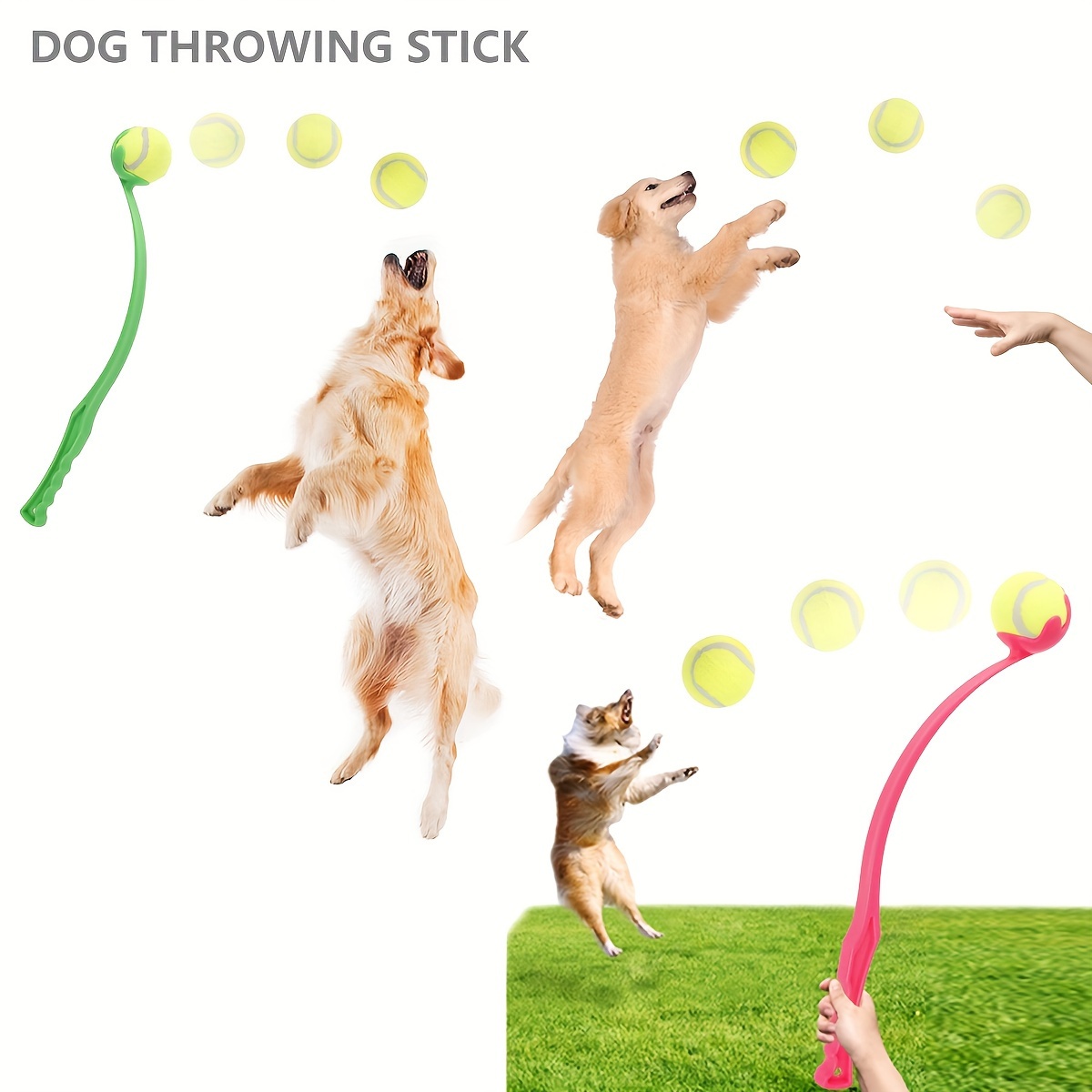 Jeu lanceur de balle de tennis jouet pour chien pour lancer plus loin