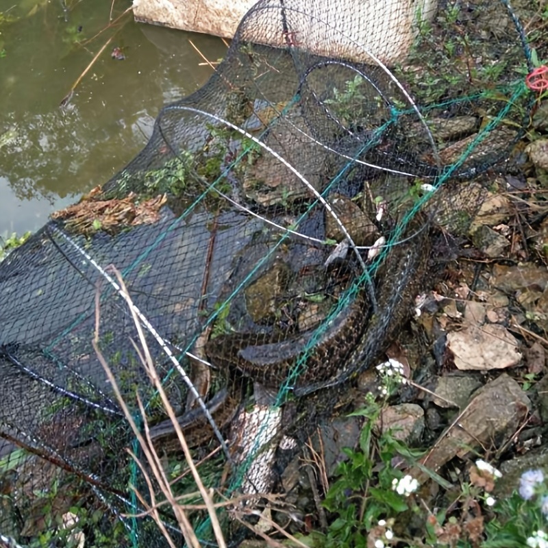 Rete Pesca Portatile Rete Pesca Pieghevole Gamberi Aragoste - Temu