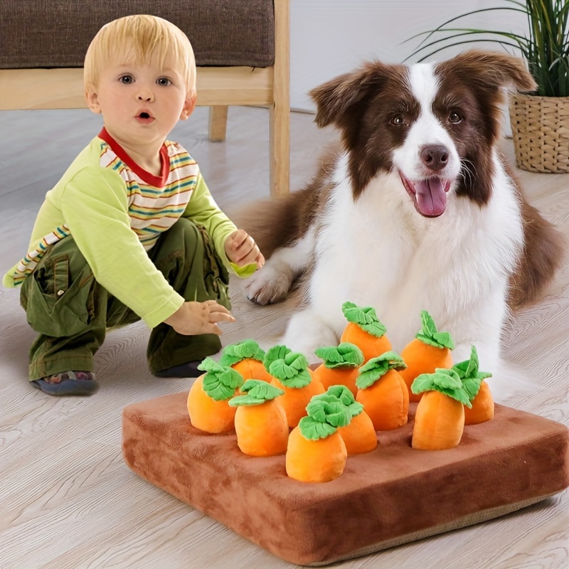 Interactive Dog Toy Squeaky Carrots Enrichment Puzzle Toys, Hide and Seek,  Carrot Farm, Dog Chew, Carrot Patch Snuffle Patch - AliExpress