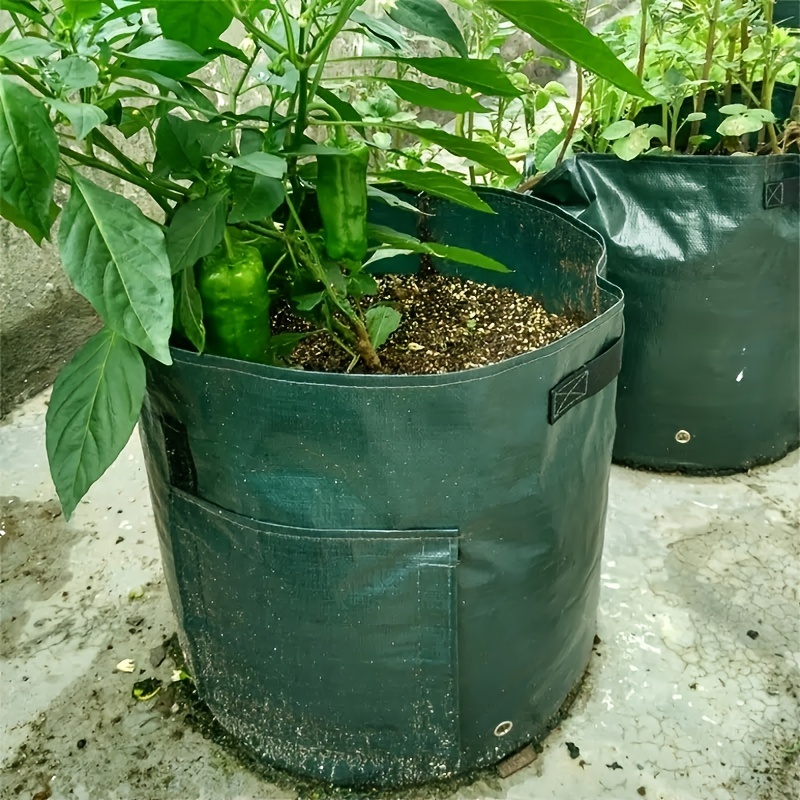 1 Pezzo Borsa Per La Coltivazione Di Patate Con Coperchio E Maniglia Per Il  Contenitore Da Giardino Serra Per Patate, Funghi, Pomodori, Verdure (7  Galloni, Colore Verde)