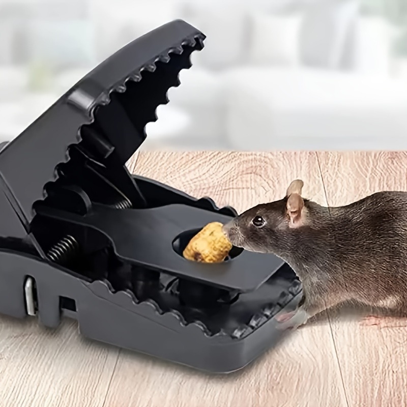 Rat Trap Mouse Traps Indoor For Home Instant Kill Pest - Temu