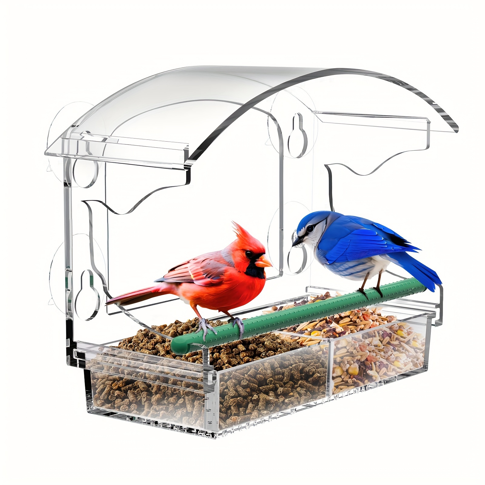 Fenêtre Mangeoire à Oiseaux avec Une Forte Aspiration Tasses et