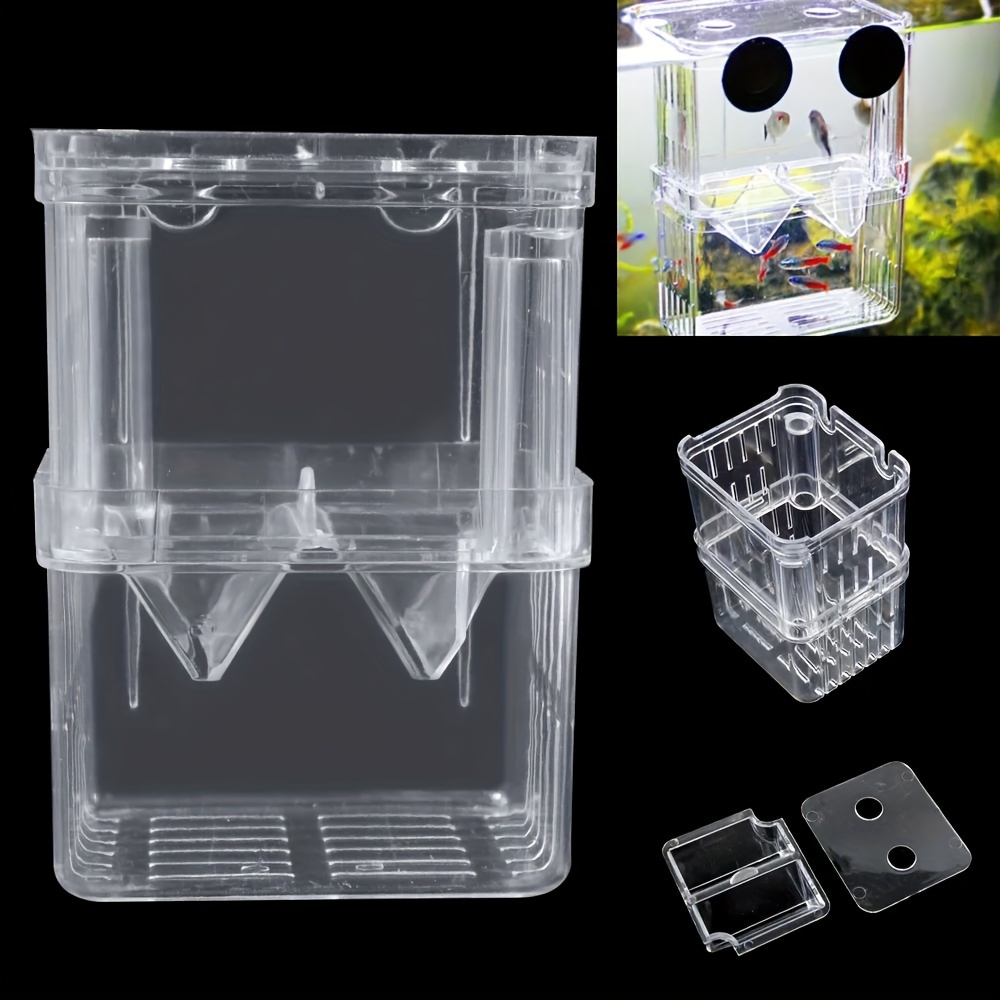 JISADER Fishing Photo Tank, Incubator Fish Viewing Box with Lid Inner Fish  Tank Isolation Box, L : : Pet Supplies