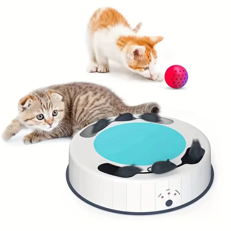 Engaging Cat Toys: Feline Fun for Active Playtime