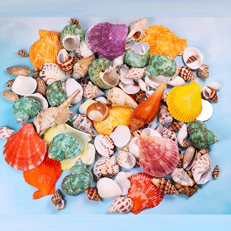 Ocean Inspired Aquarium Decorations Natural Sea Shells Conch Shells White  Coral And Starfish Ornaments - Pet Supplies - Temu