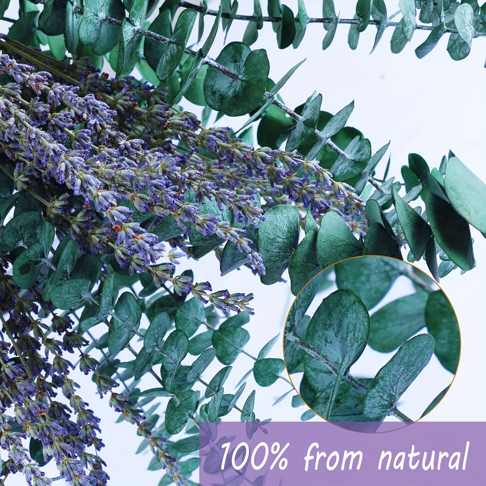 115 Pcs Dried Eucalyptus Stems & Lavenders Flowers Bundles for  Shower,Natural Eucalyptu Leaf Hanging Lavender,Fragrance, Decor - AliExpress