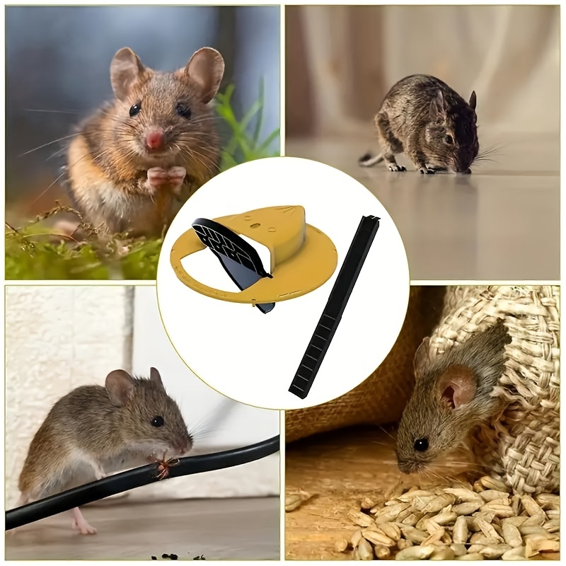 Mouse Trap Humane Mice Mouse Traps for House Indoor Catch and Release with No Kill - Reusable Mouse Rat Trap Outdoor for Small Rodent, Voles, Hamsters