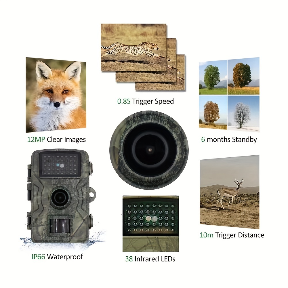 Kinghat Cámara de rastreo de 20MP 1080P, cámaras de caza con visión  nocturna activada por movimiento, cámara impermeable IP66, LCD de 2.0  pulgadas y