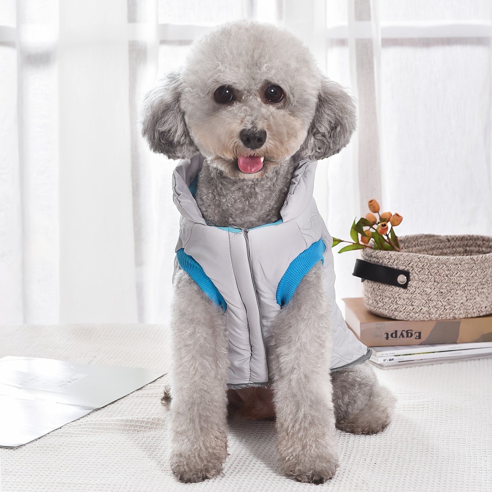 velcro dog vest