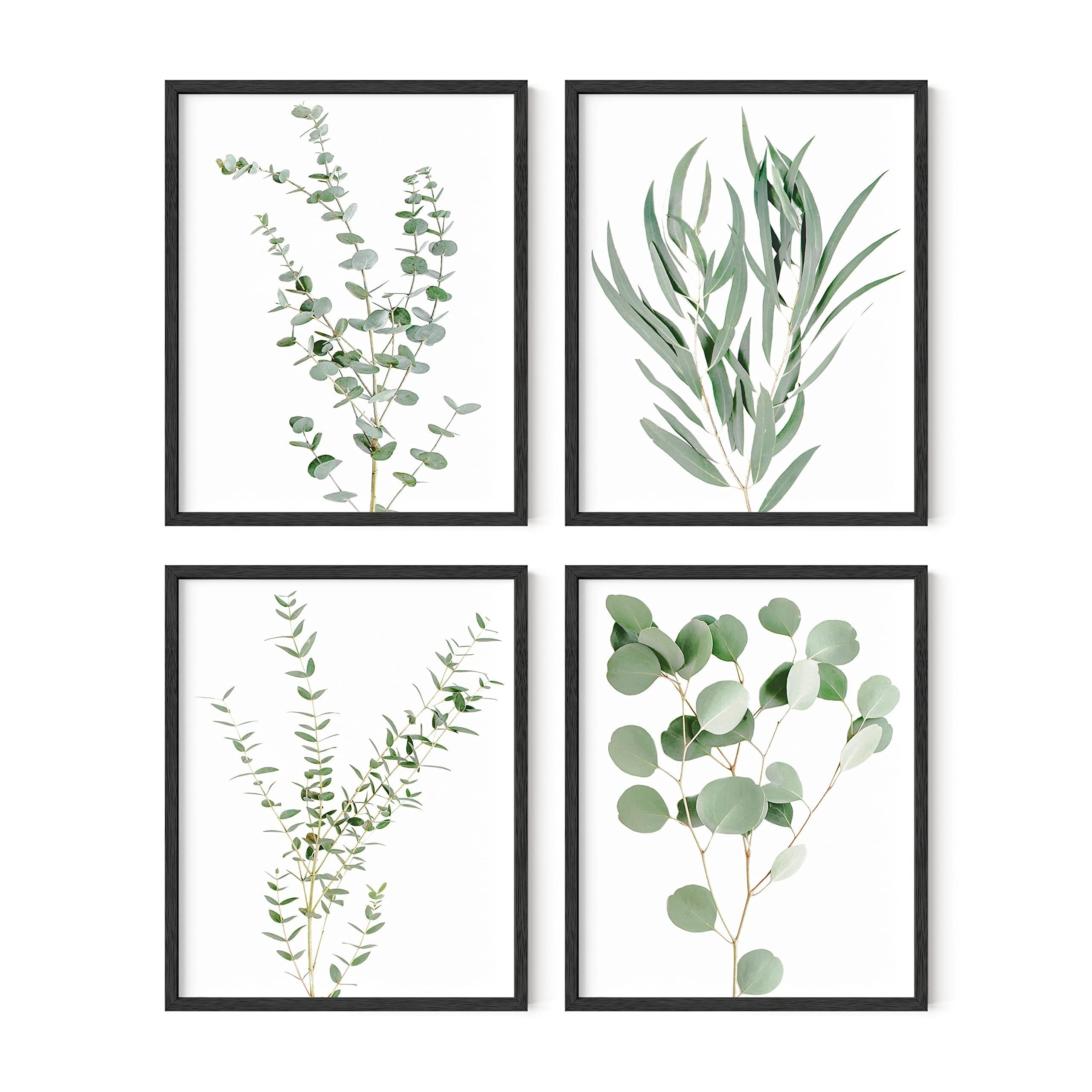 HoozGee Green Botanical Wall Art Print Set of 6 Natural Plant Leaves Home  Decor Boho Leaf Bathroom Wall Art Canvas Plant Posters Leaf Art Prints