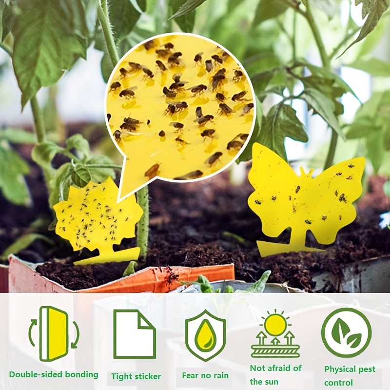 20pcs Sticky Trap,fruit Fly And Gnat Trap Yellow Sticky Bug Traps For Indoor/outdoor  Use Insect Cat